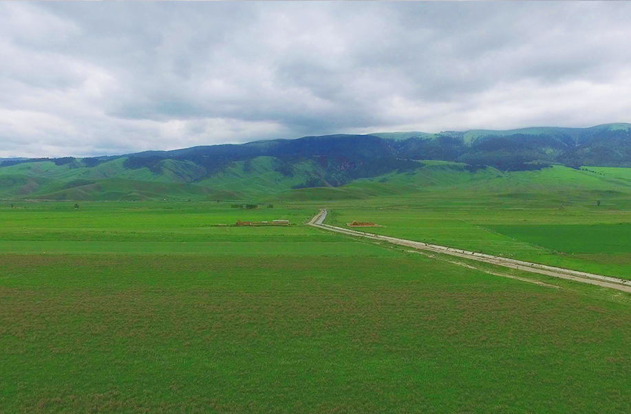  暴雨来临 北疆草原